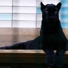 04-361zoo-gemischt.jpg