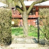 Tore010.jpg