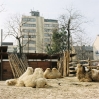 03budapest zoo.jpg