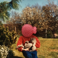 granatapfel