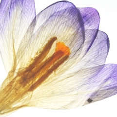 001Fachtag_ergebnisse