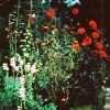 ES08_kbrunnhofer_088