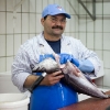 004Fischmarkt033