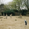 04hagenbeckweb.jpg