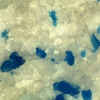 006_mikroplastik