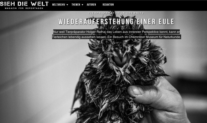 siehdiewelt_sreen