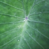010web_popp_arbeiten