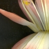 014web_popp_Arbeiten