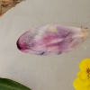 015web_popp_Arbeiten