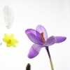 016web_popp_Arbeiten