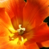 024web_popp_Arbeiten