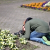 043web_popp_kursarbeit