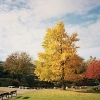 PuB_web039