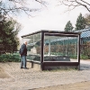 006PuB_Fruehling_web