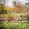 013PuB_Fruehling_web
