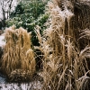 PuB_winter_web001