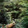 002wald_web.jpg