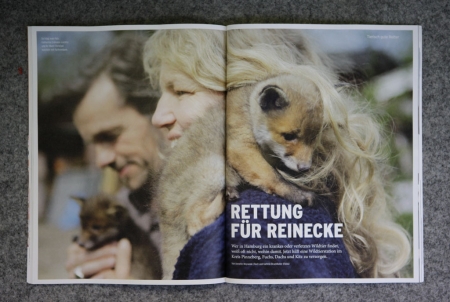 wildtiere_1