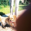006_Mizgin1